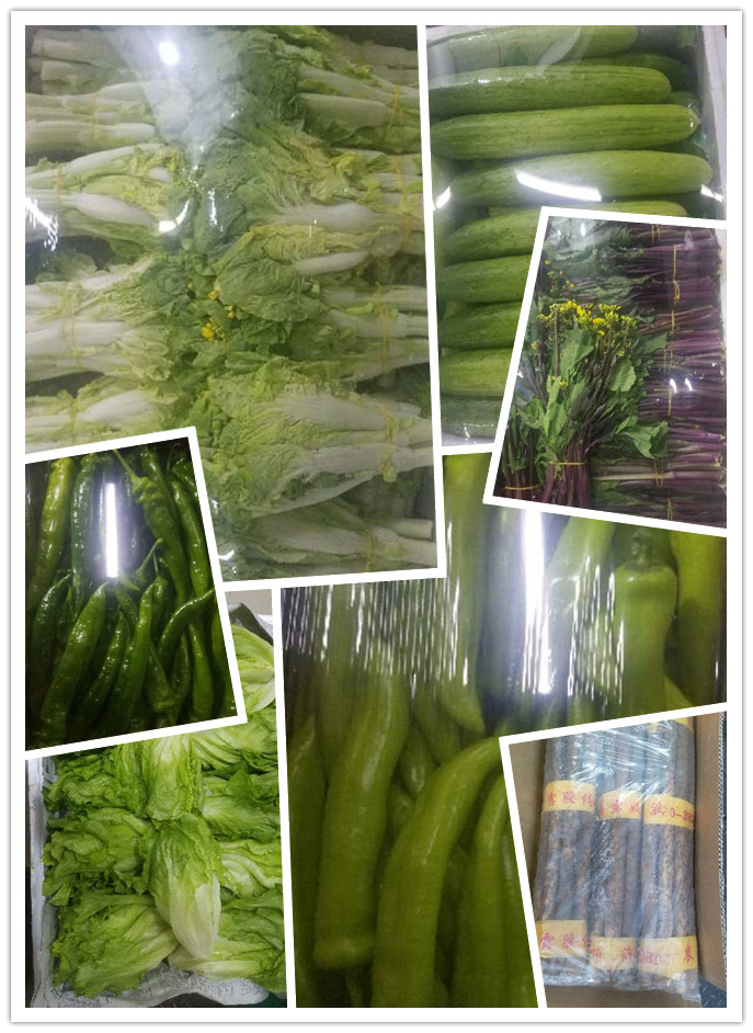 俄罗斯专享会294·VIP(中国区)官方网站