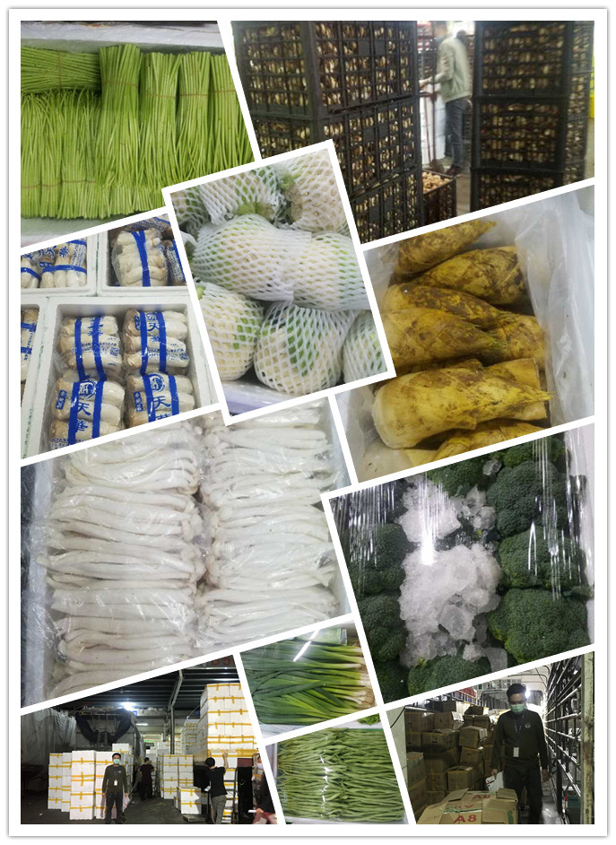 俄罗斯专享会294·VIP(中国区)官方网站