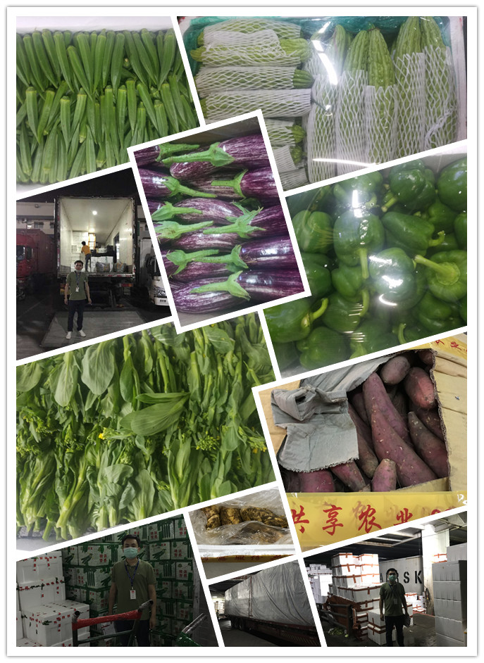 俄罗斯专享会294·VIP(中国区)官方网站