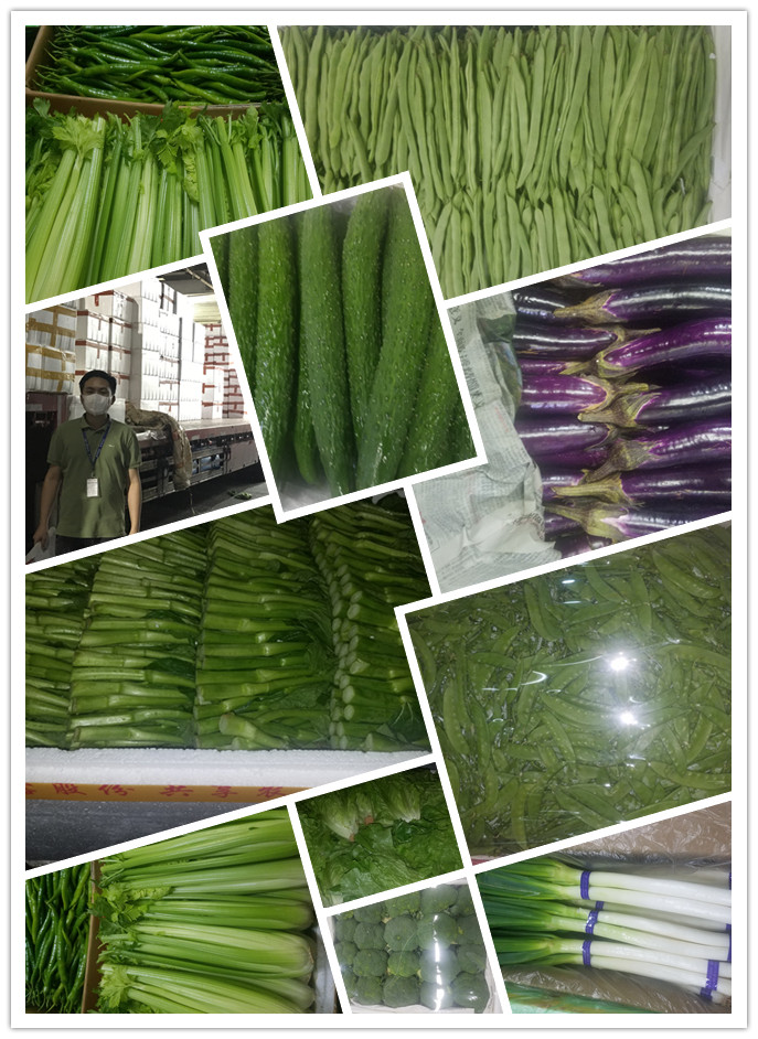 俄罗斯专享会294·VIP(中国区)官方网站