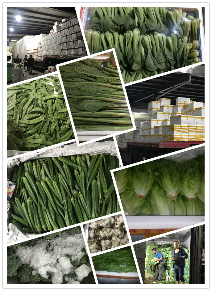 俄罗斯专享会294·VIP(中国区)官方网站