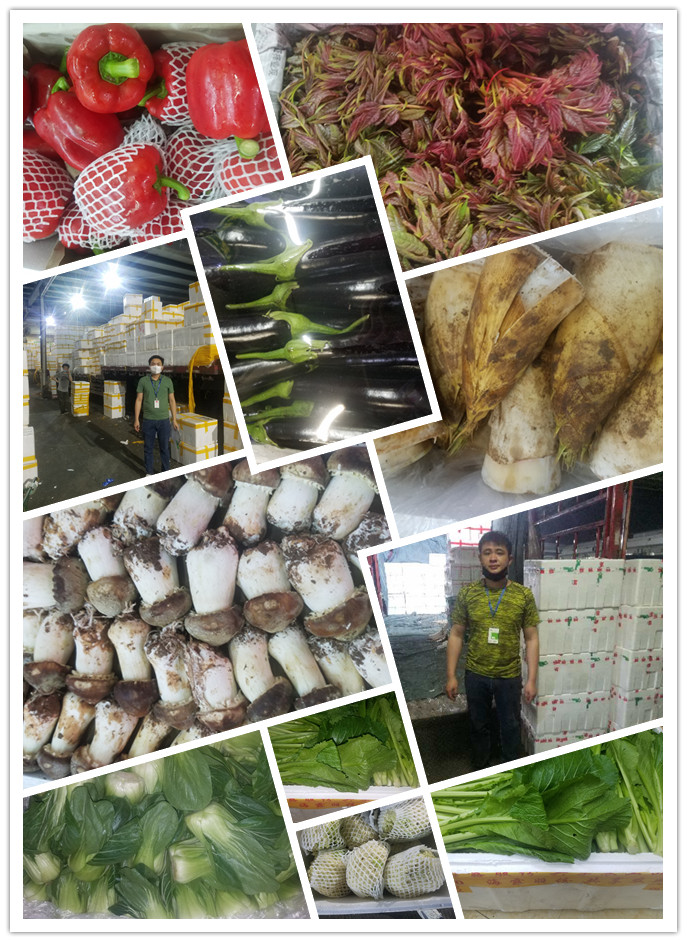 俄罗斯专享会294·VIP(中国区)官方网站