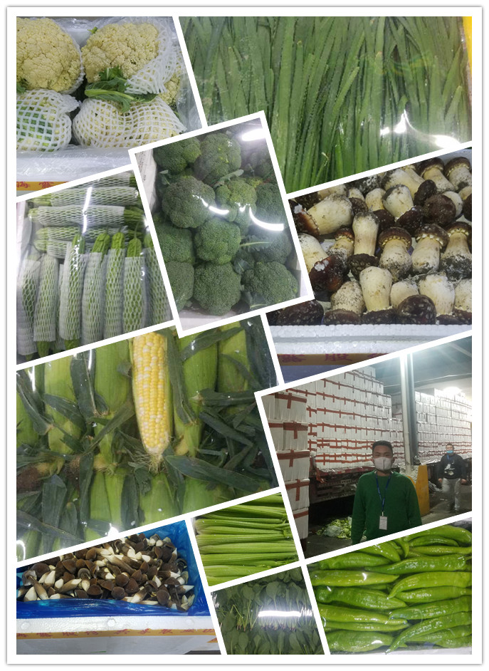 俄罗斯专享会294·VIP(中国区)官方网站