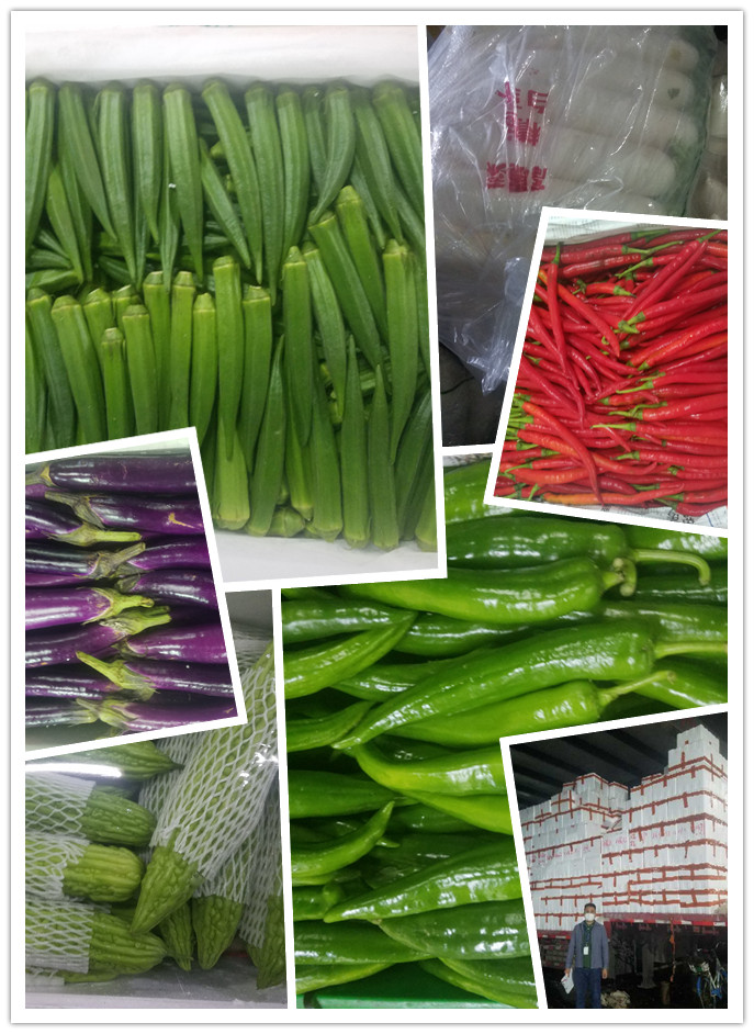 俄罗斯专享会294·VIP(中国区)官方网站