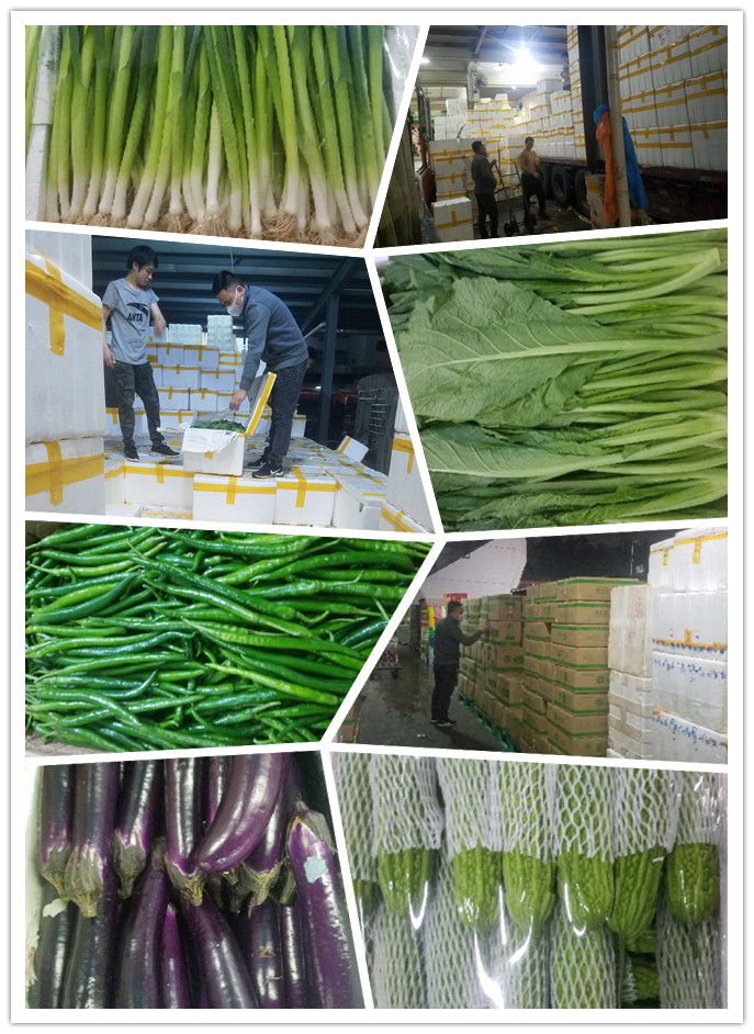 俄罗斯专享会294·VIP(中国区)官方网站