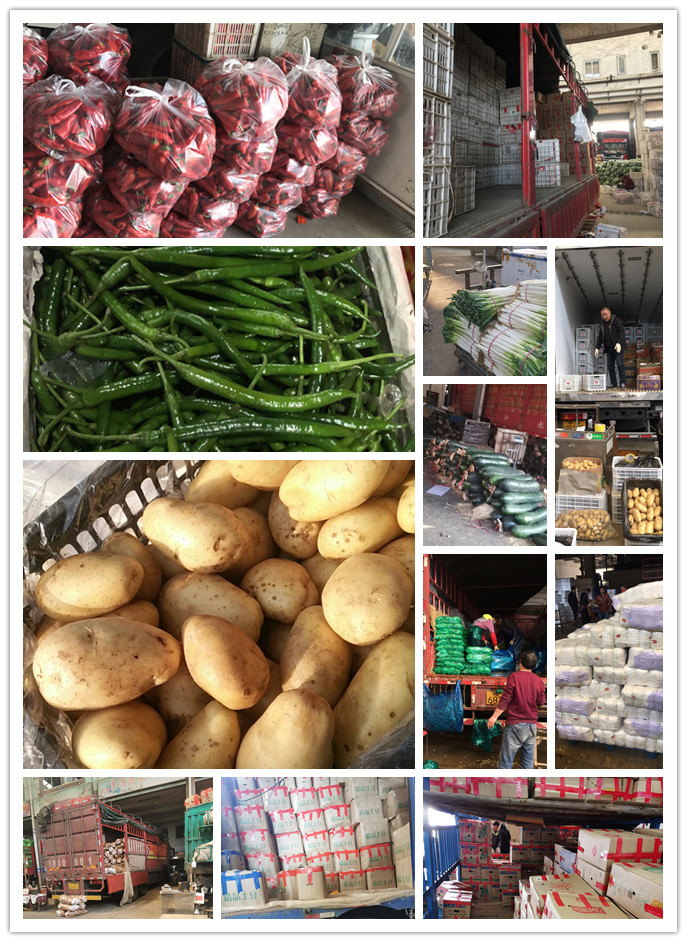 俄罗斯专享会294·VIP(中国区)官方网站