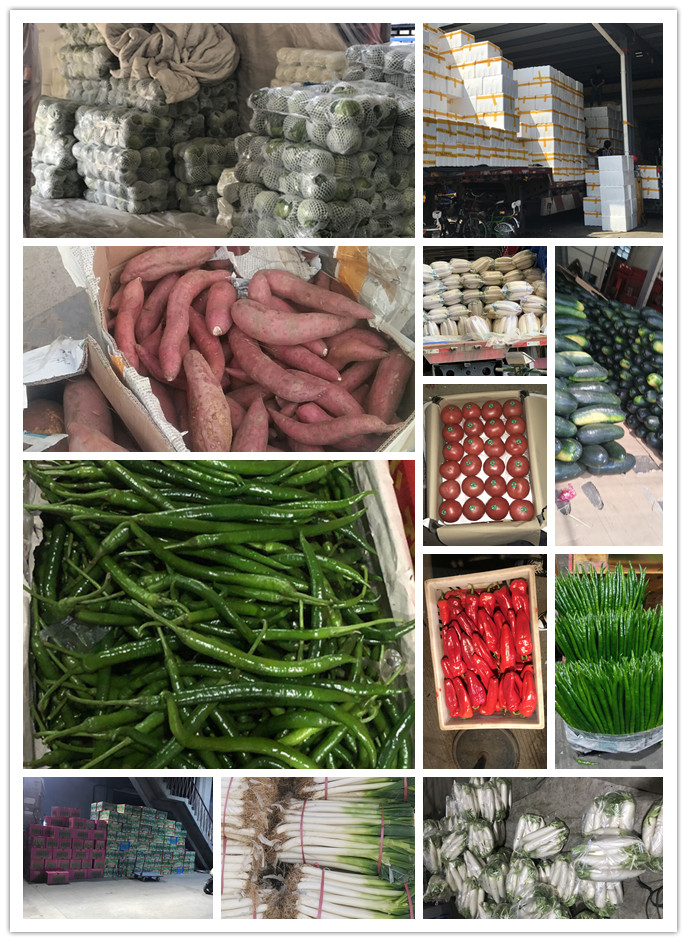 俄罗斯专享会294·VIP(中国区)官方网站