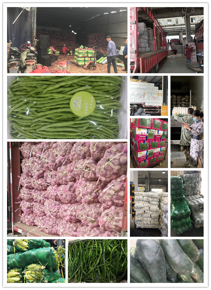 俄罗斯专享会294·VIP(中国区)官方网站