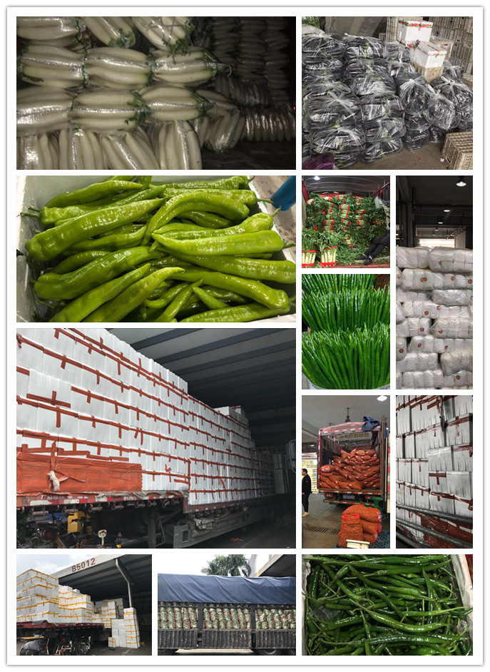 俄罗斯专享会294·VIP(中国区)官方网站