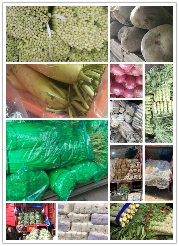 俄罗斯专享会294·VIP(中国区)官方网站