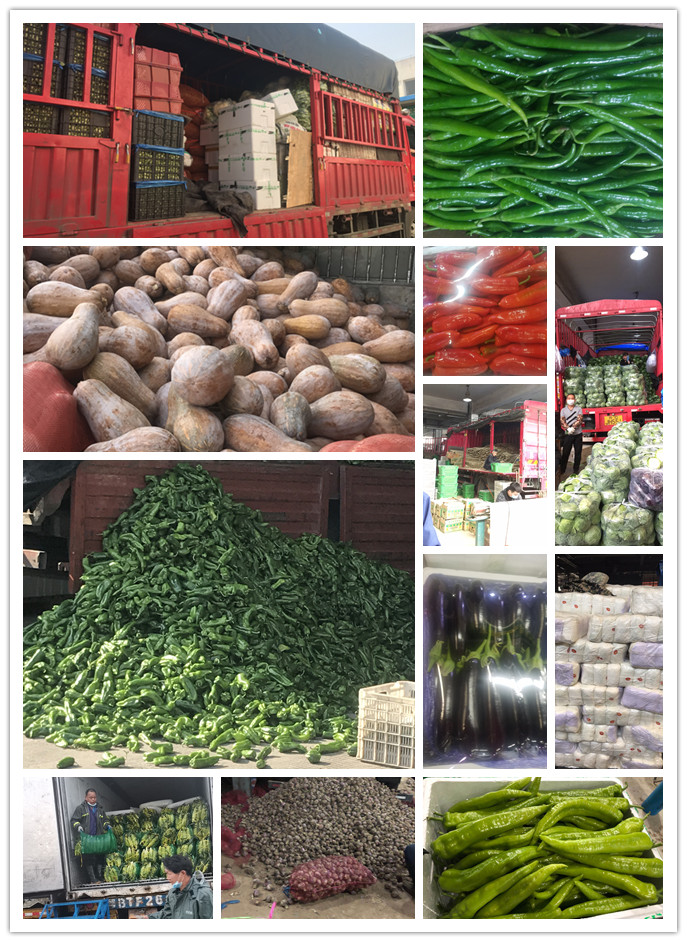 俄罗斯专享会294·VIP(中国区)官方网站