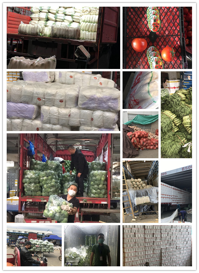 俄罗斯专享会294·VIP(中国区)官方网站