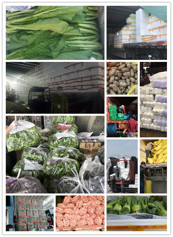 俄罗斯专享会294·VIP(中国区)官方网站