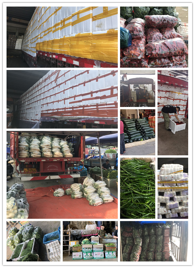 俄罗斯专享会294·VIP(中国区)官方网站