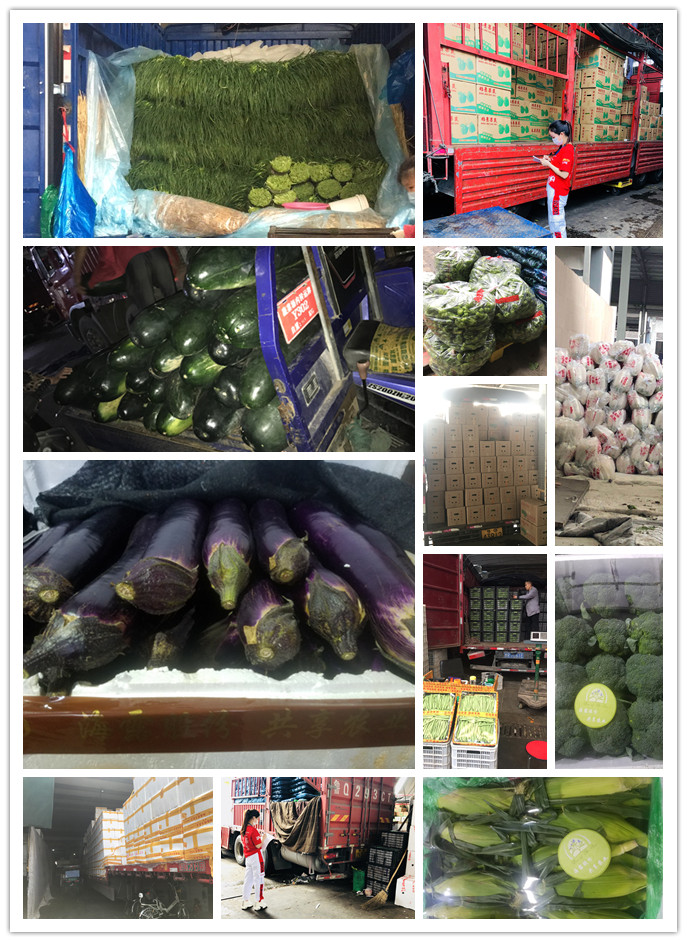 俄罗斯专享会294·VIP(中国区)官方网站