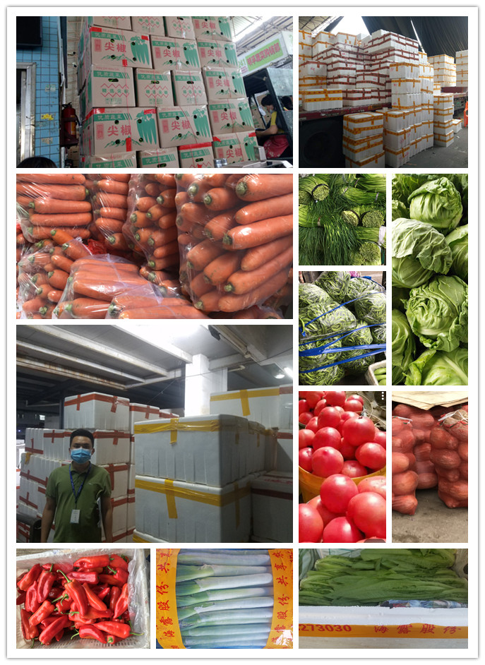 俄罗斯专享会294·VIP(中国区)官方网站