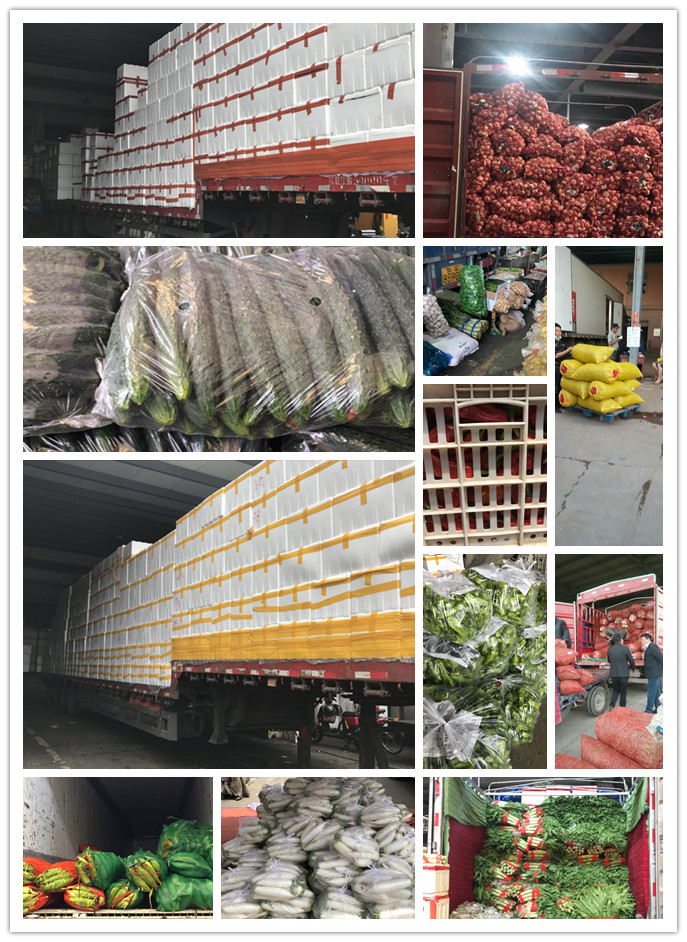 俄罗斯专享会294·VIP(中国区)官方网站