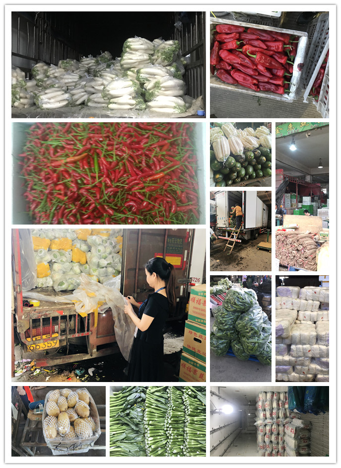 俄罗斯专享会294·VIP(中国区)官方网站