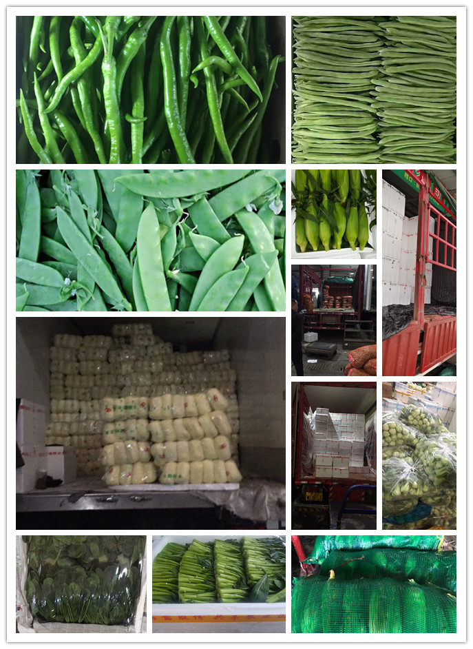 俄罗斯专享会294·VIP(中国区)官方网站