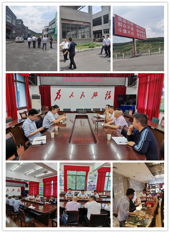 俄罗斯专享会294·VIP(中国区)官方网站