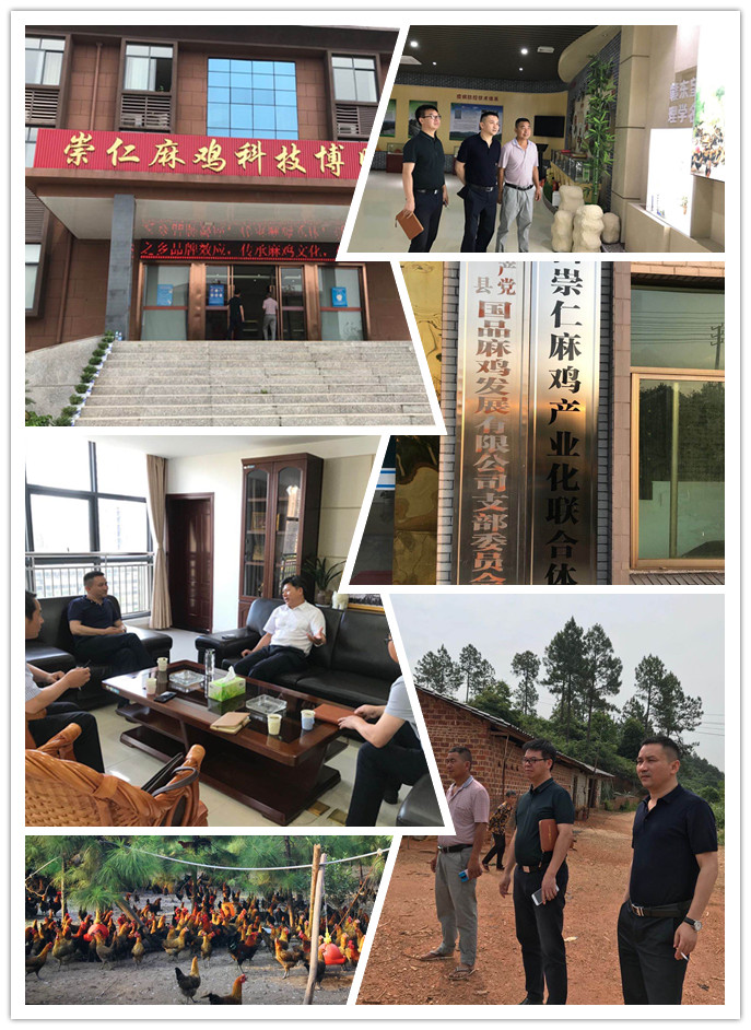 俄罗斯专享会294·VIP(中国区)官方网站