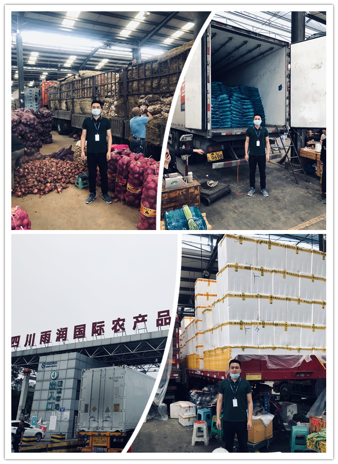 俄罗斯专享会294·VIP(中国区)官方网站