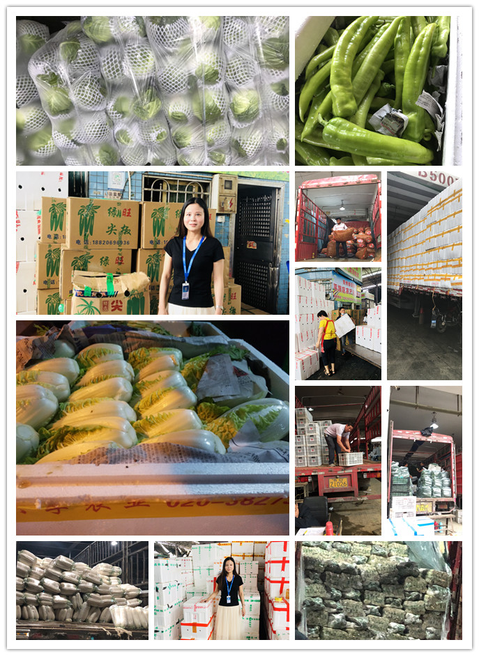 俄罗斯专享会294·VIP(中国区)官方网站