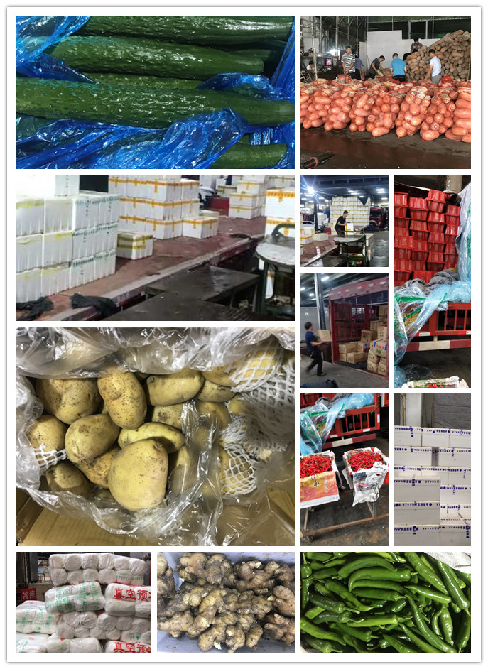 俄罗斯专享会294·VIP(中国区)官方网站