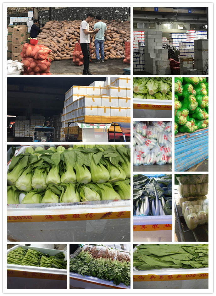 俄罗斯专享会294·VIP(中国区)官方网站