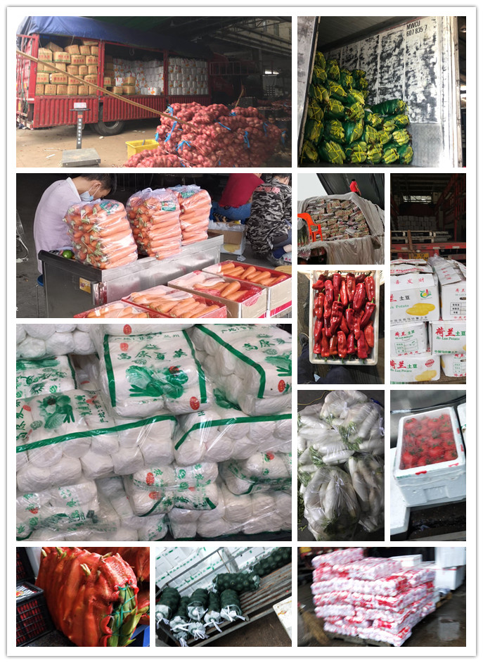 俄罗斯专享会294·VIP(中国区)官方网站