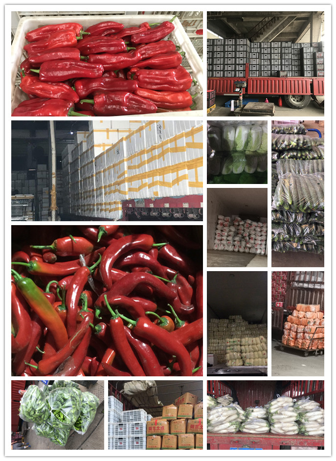 俄罗斯专享会294·VIP(中国区)官方网站