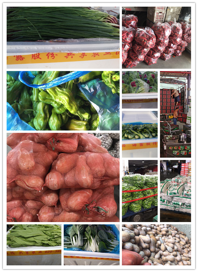 俄罗斯专享会294·VIP(中国区)官方网站