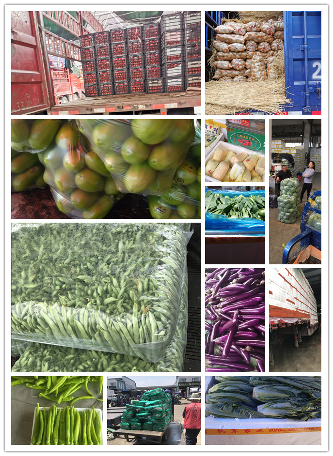 俄罗斯专享会294·VIP(中国区)官方网站