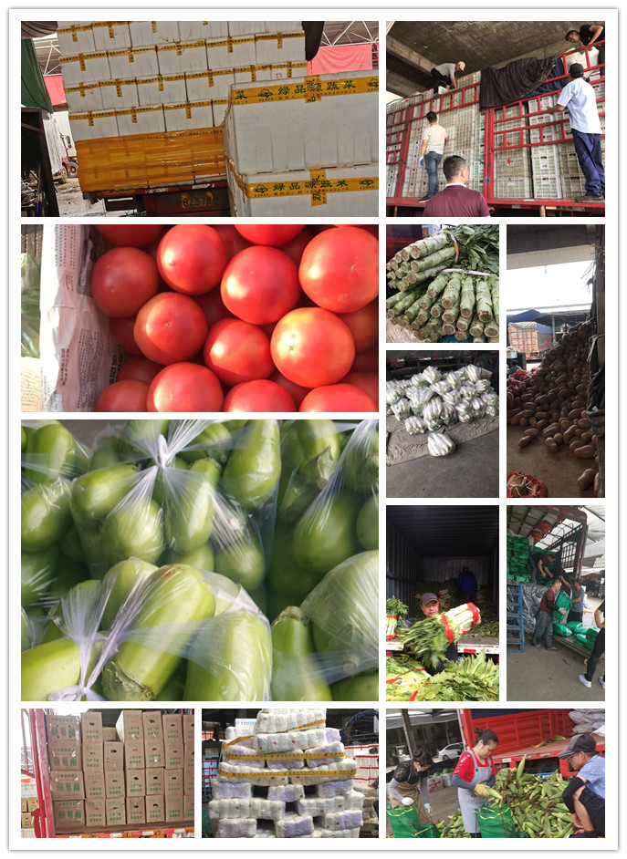 俄罗斯专享会294·VIP(中国区)官方网站