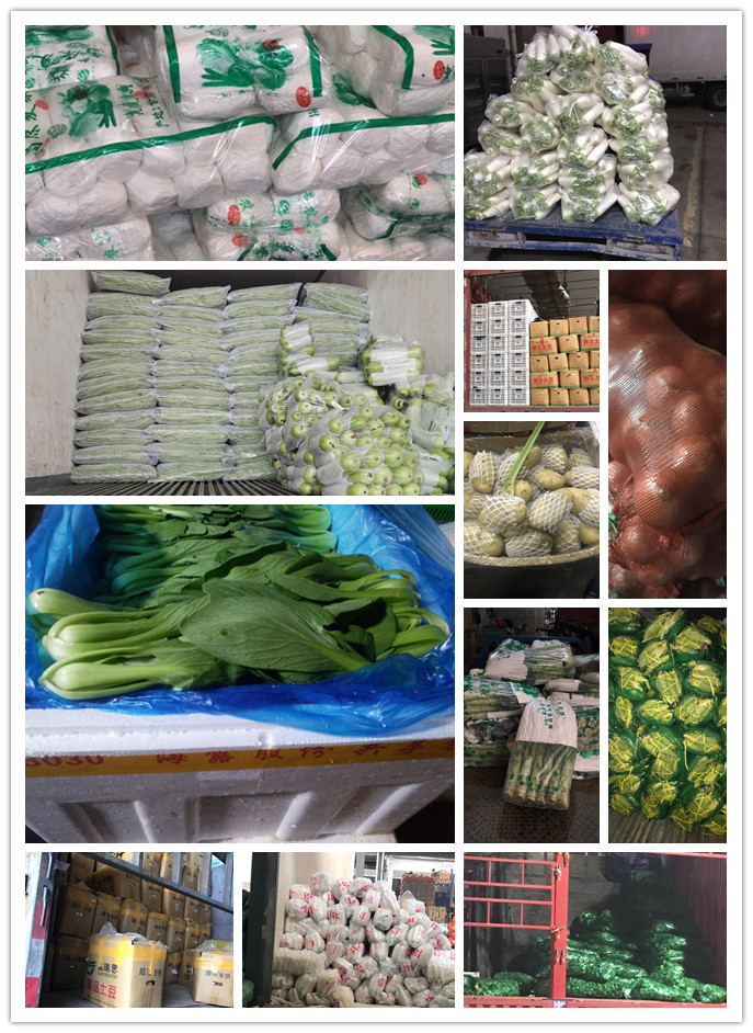 俄罗斯专享会294·VIP(中国区)官方网站