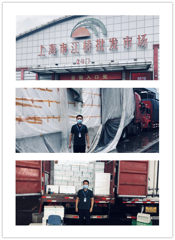 俄罗斯专享会294·VIP(中国区)官方网站