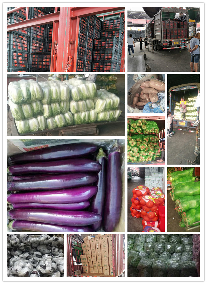 俄罗斯专享会294·VIP(中国区)官方网站