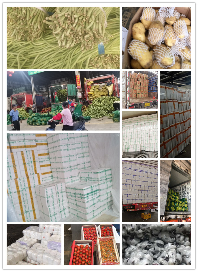 俄罗斯专享会294·VIP(中国区)官方网站