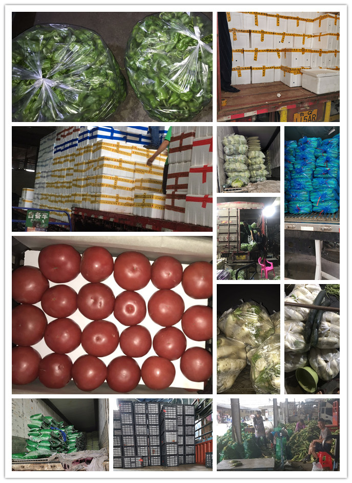 俄罗斯专享会294·VIP(中国区)官方网站