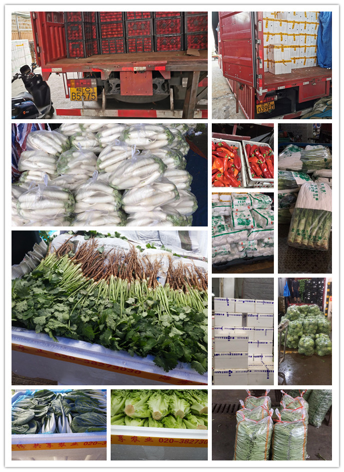 俄罗斯专享会294·VIP(中国区)官方网站