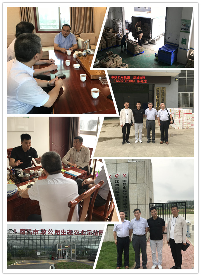 俄罗斯专享会294·VIP(中国区)官方网站