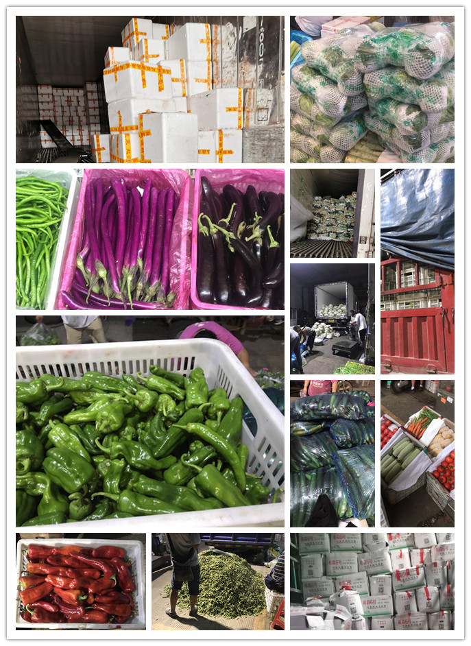 俄罗斯专享会294·VIP(中国区)官方网站