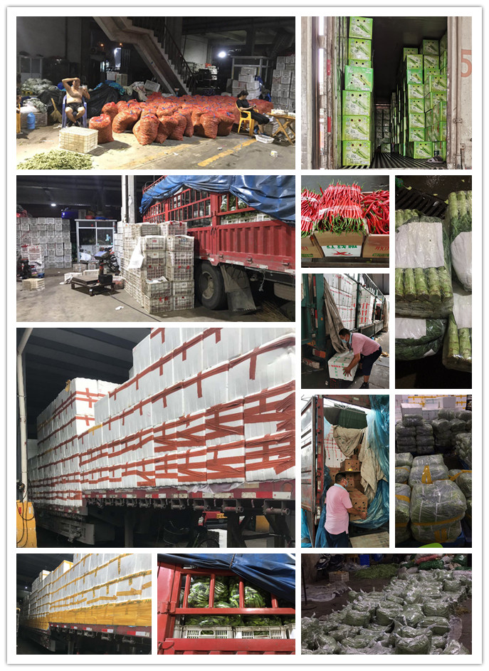 俄罗斯专享会294·VIP(中国区)官方网站