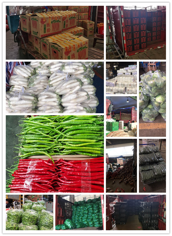 俄罗斯专享会294·VIP(中国区)官方网站