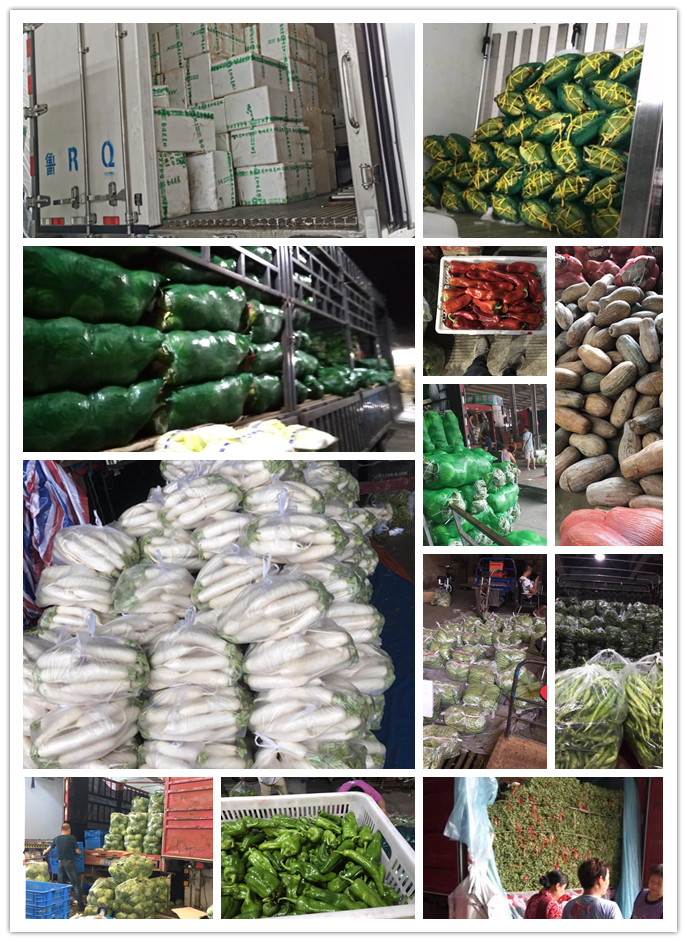 俄罗斯专享会294·VIP(中国区)官方网站