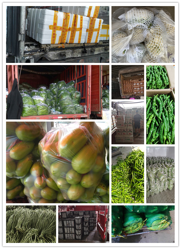 俄罗斯专享会294·VIP(中国区)官方网站