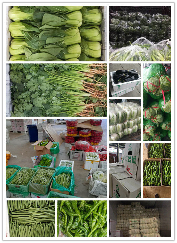 俄罗斯专享会294·VIP(中国区)官方网站