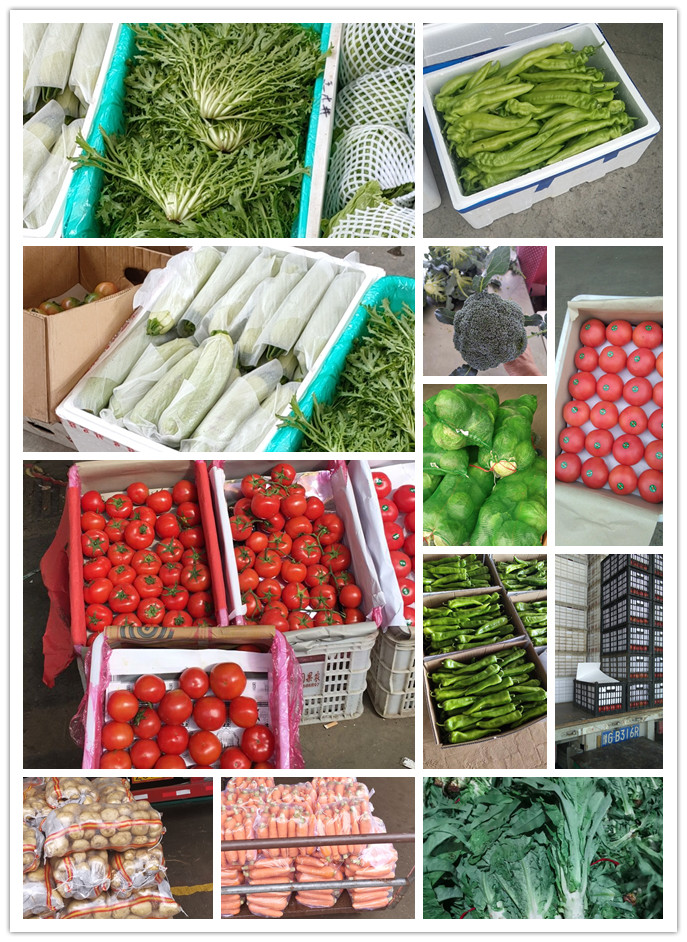 俄罗斯专享会294·VIP(中国区)官方网站