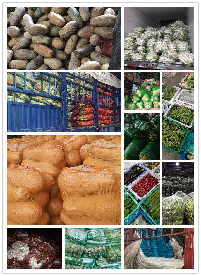 俄罗斯专享会294·VIP(中国区)官方网站