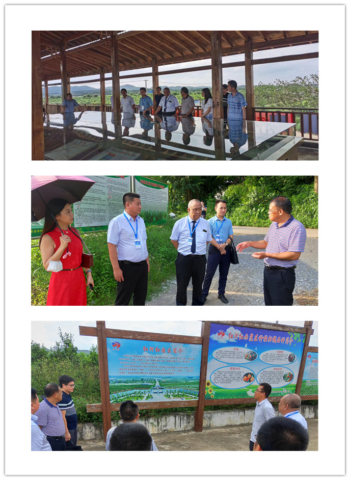 俄罗斯专享会294·VIP(中国区)官方网站